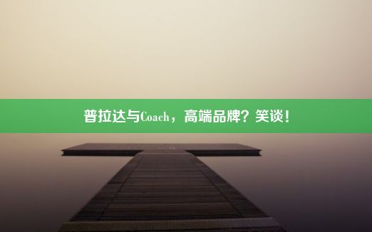 普拉达与Coach，高端品牌？笑谈！