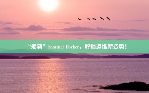 “船新”Sentinel Docker，解锁运维新姿势！