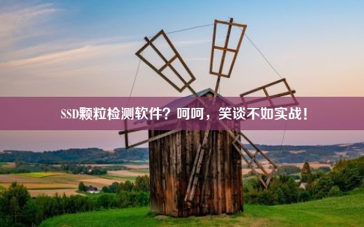  SSD颗粒检测软件？呵呵，笑谈不如实战！