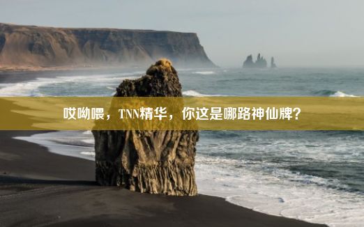 哎呦喂，TNN精华，你这是哪路神仙牌？