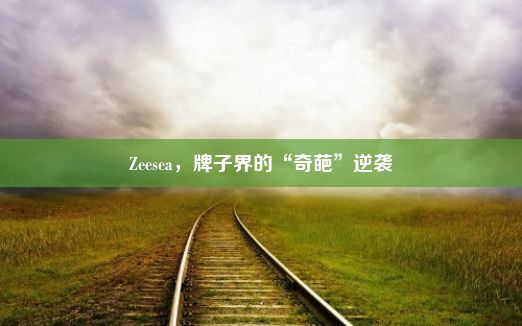 Zeesea，牌子界的“奇葩”逆袭