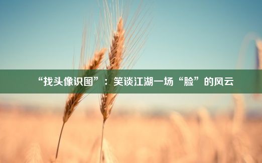 “找头像识图”：笑谈江湖一场“脸”的风云