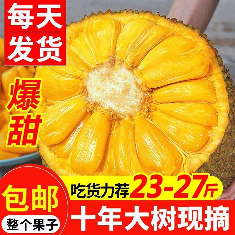 菠薾蜜探秘：1688号路线图的匠心独运