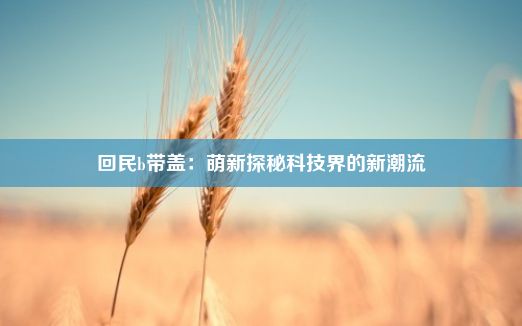 回民b带盖：萌新探秘科技界的新潮流