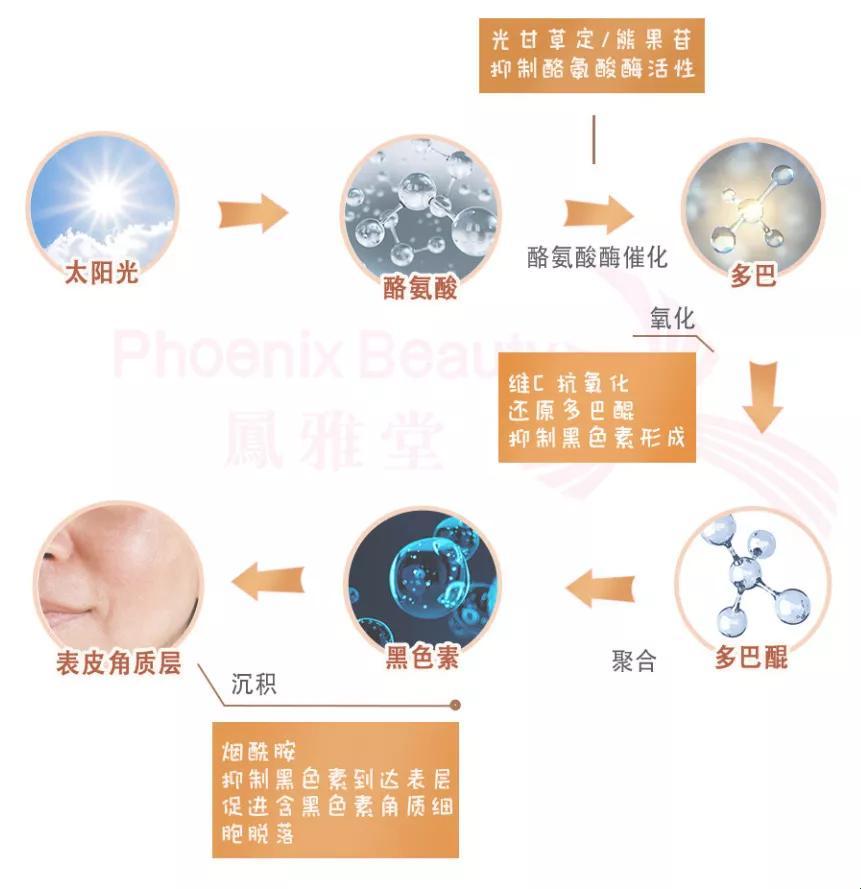 白里透红，笑话一箩筐：探究人体变白原理的幽默自嘲