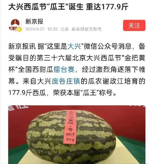 年度瓜田大戏：盘点那些让人捧腹的瞬间