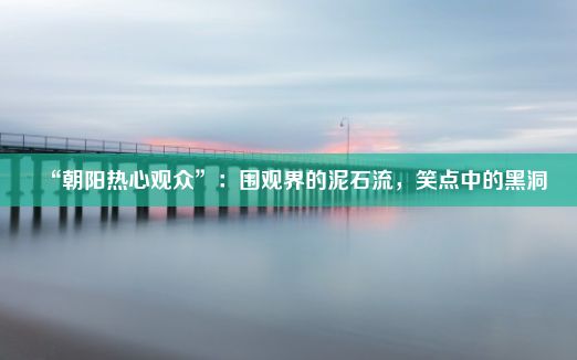 “朝阳热心观众”：围观界的泥石流，笑点中的黑洞