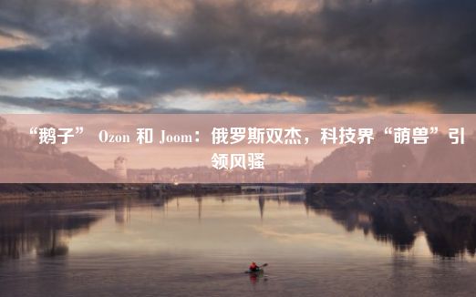 “鹅子” Ozon 和 Joom：俄罗斯双杰，科技界“萌兽”引领风骚