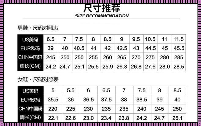 《编码大乱斗：欧码遭遇战中国码，笑点层出不穷》