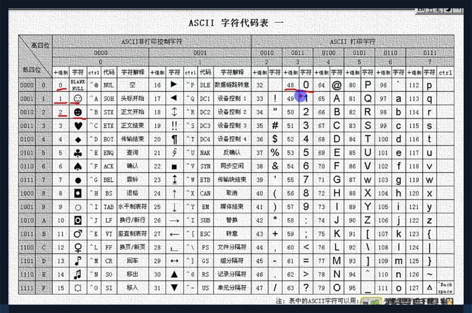 字节跳跃：编码里头的荒诞秀