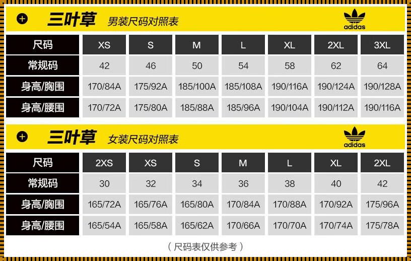 “三叶草”编码风云：M码对阵欧码，笑看网坛风起云涌