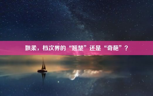 飘柔，档次界的“翘楚”还是“奇葩”？