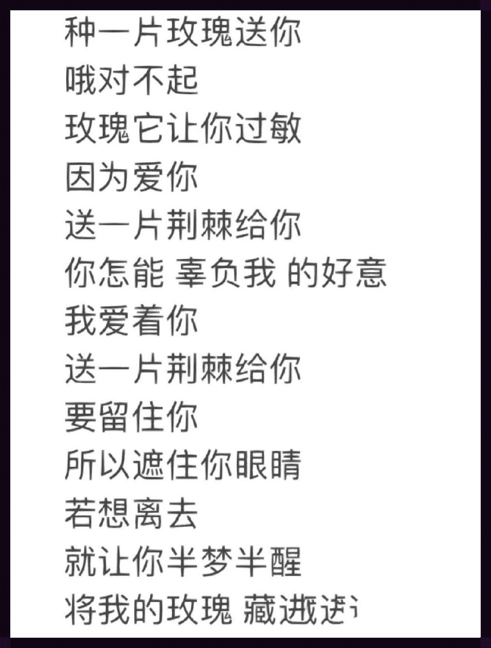 《科技荒原上的旋律，野生玫瑰的倔强之歌》