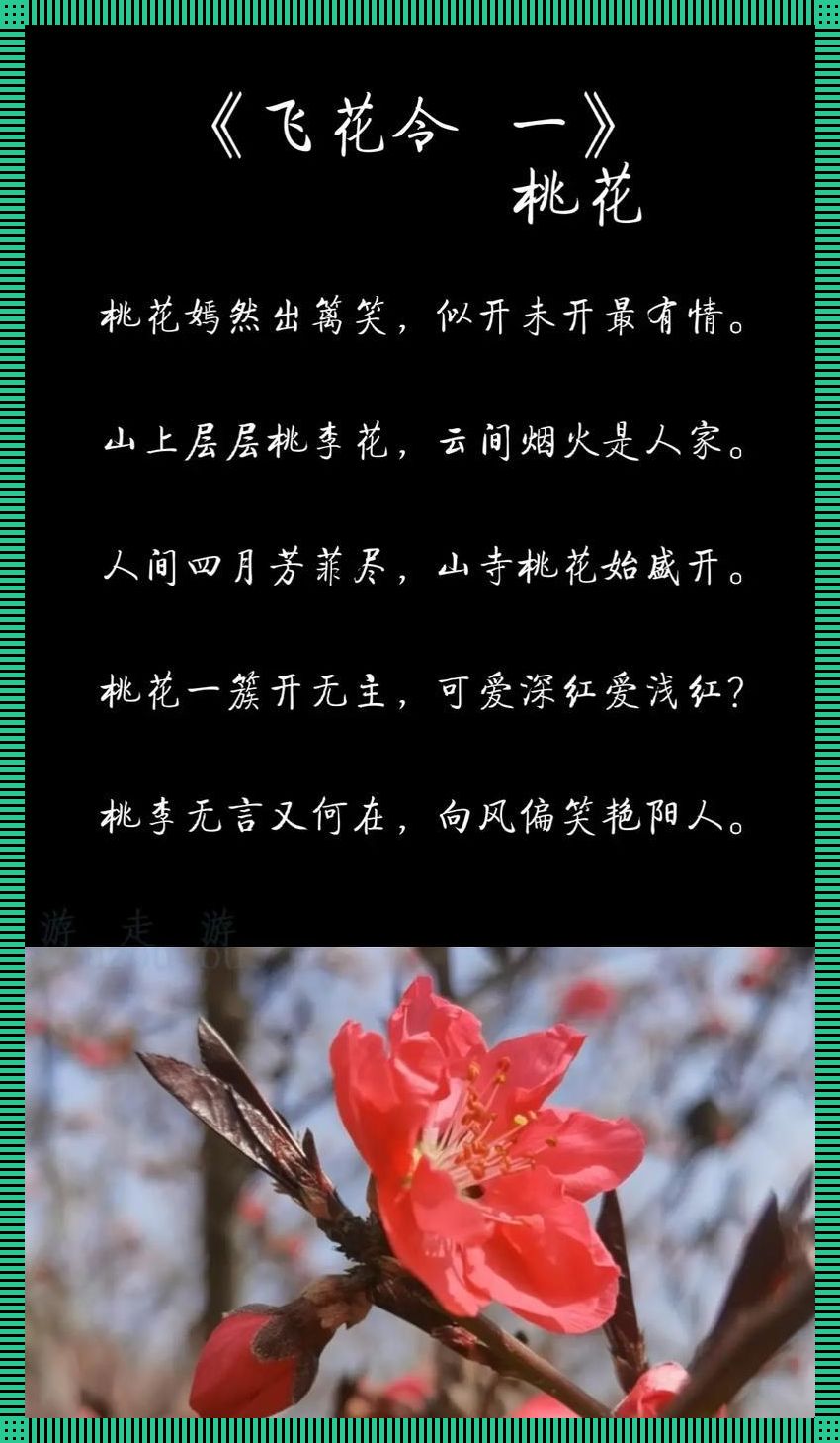 “膨湃桃花，炸裂句潮！”