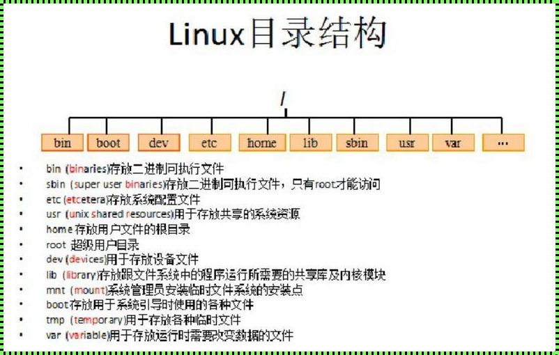 呵，Linux主目录下的“新生儿”闹剧