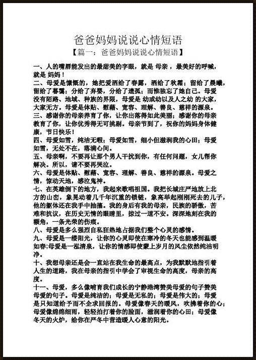 爸爸飞往异国他乡，无忌妈妈心中的“崛起新星”