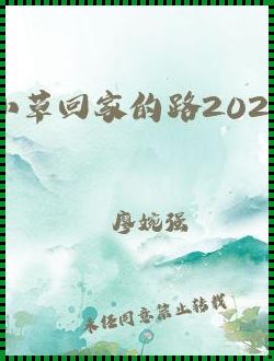 小草拐弯，2024导航心不慌