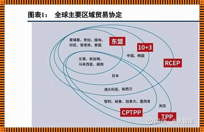 亚洲狂潮！创新炸裂，贸易新纪元的热辣热议