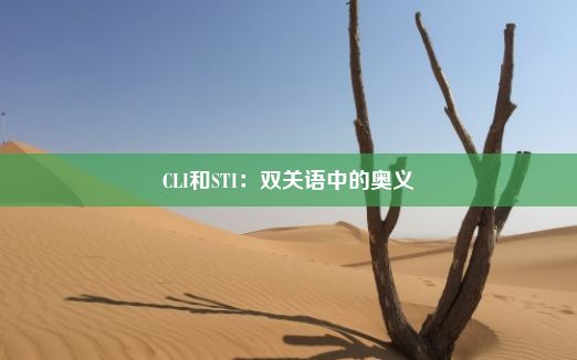 CLI和STI：双关语中的奥义