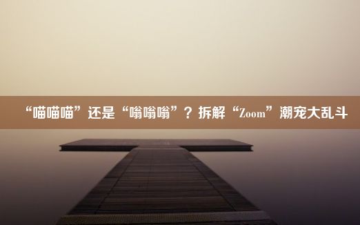 “喵喵喵”还是“嗡嗡嗡”？拆解“Zoom”潮宠大乱斗