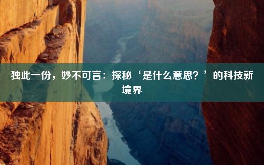 独此一份，妙不可言：探秘‘是什么意思？’的科技新境界