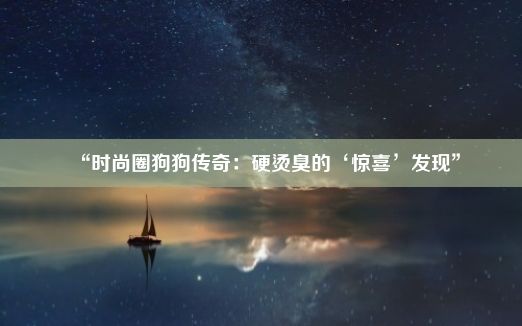 “时尚圈狗狗传奇：硬烫臭的‘惊喜’发现”