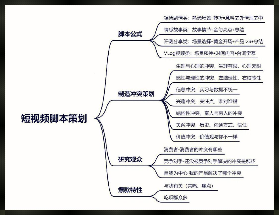 《视界狂想：笑谈视频那些破事儿》