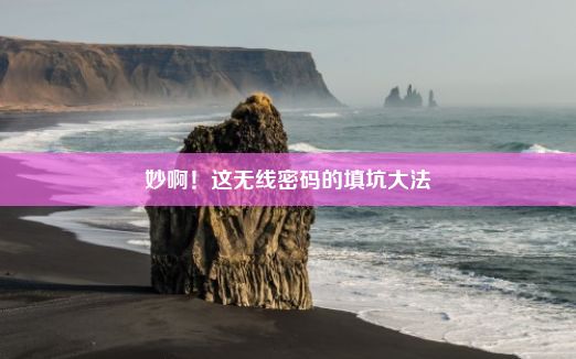 妙啊！这无线密码的填坑大法