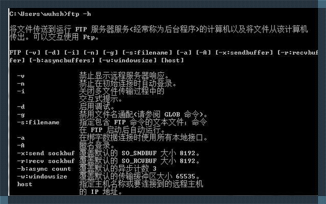 FTP 终端命令：笑谈网上冲浪的诡异艺术