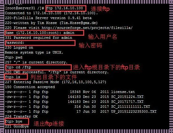 FTP 终端命令：笑谈网上冲浪的诡异艺术
