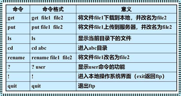 FTP 终端命令：笑谈网上冲浪的诡异艺术