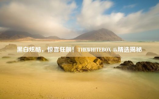 黑白炫酷，惊喜狂飙！THEWHITEBOX 4k精选揭秘