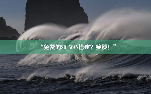 “免费的SD_WAN搭建？笑谈！”