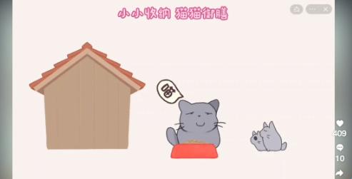 小小收纳，猫猫的“御膳”？