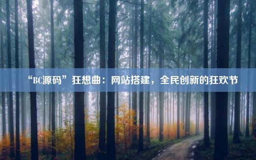 “BC源码”狂想曲：网站搭建，全民创新的狂欢节