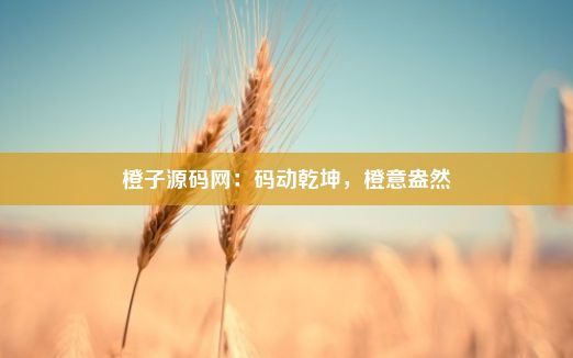 橙子源码网：码动乾坤，橙意盎然