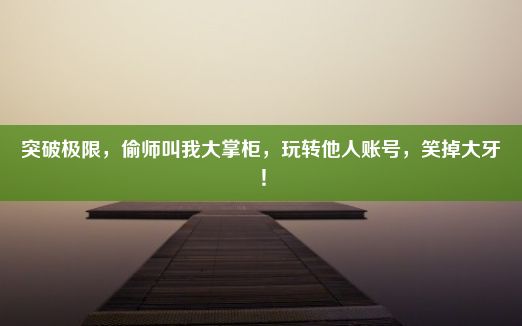 突破极限，偷师叫我大掌柜，玩转他人账号，笑掉大牙！