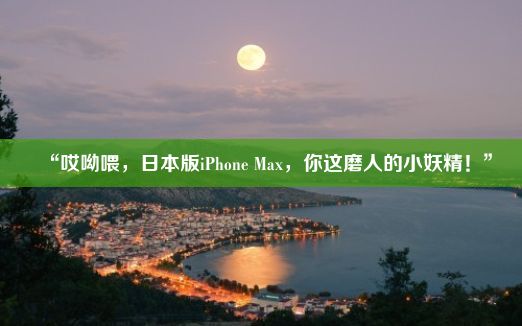 “哎呦喂，日本版iPhone Max，你这磨人的小妖精！”