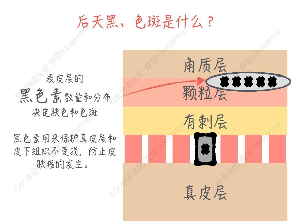 “糙”探色母奥秘，时尚界的想象界线被打破！