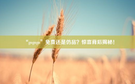 “gogogo”免费还是仿品？惊喜背后揭秘！