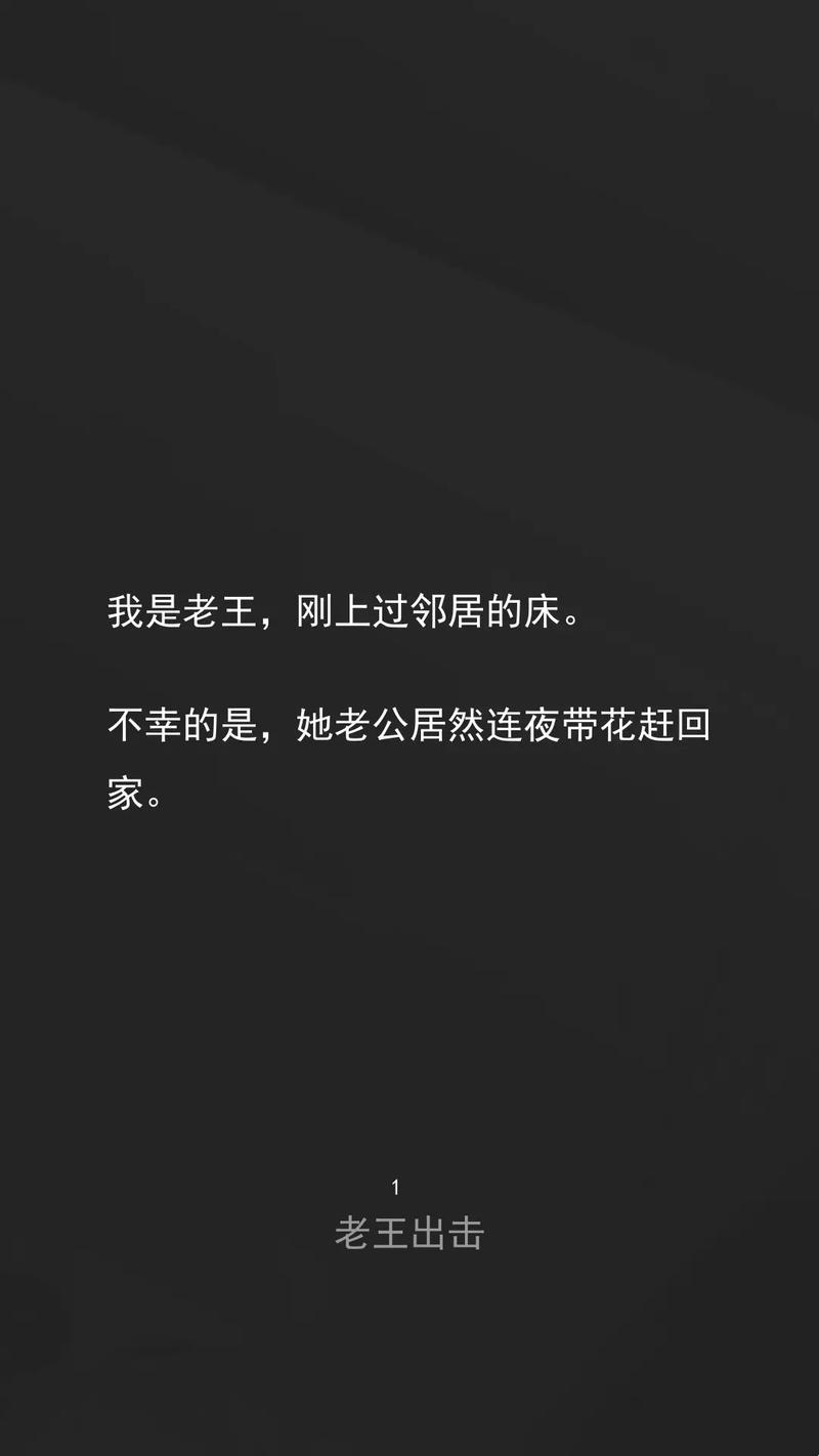 “老王和张倩倩的小说狂欢：幽默江湖的爆笑传说”