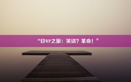 “日WP之旅：笑话？革命！”