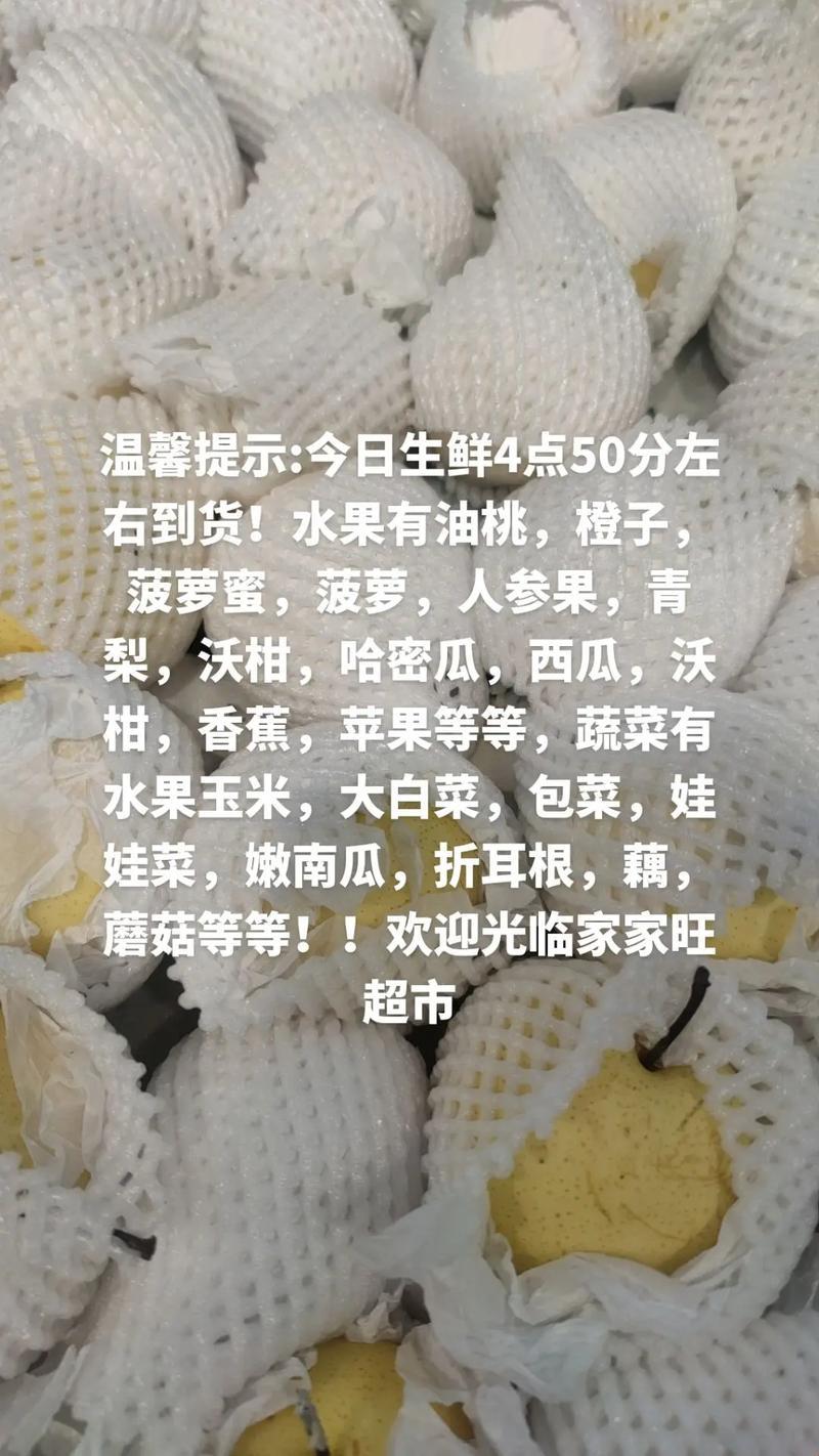 蜜瓜啦蜜啦，科技狂欢曲：独辟蹊径的狂想