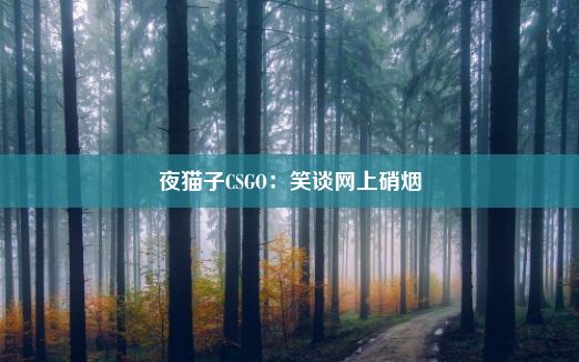 夜猫子CSGO：笑谈网上硝烟