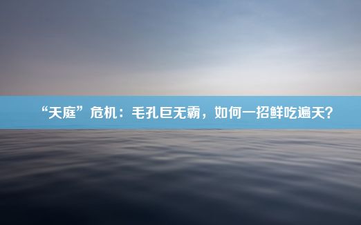 “天庭”危机：毛孔巨无霸，如何一招鲜吃遍天？