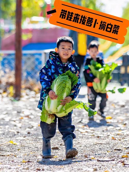 《拔萝卜界的水墨奇缘：拉丝现象探究》