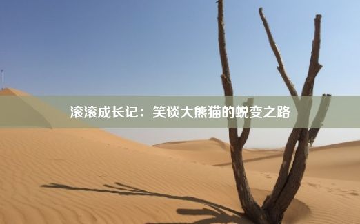 滚滚成长记：笑谈大熊猫的蜕变之路