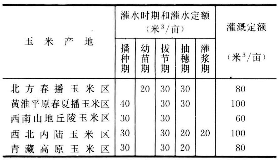 时髦灌溉，创新“淋”代