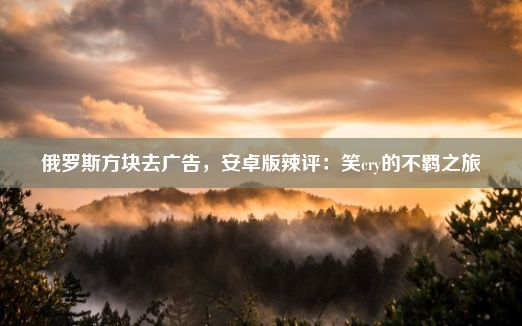 俄罗斯方块去广告，安卓版辣评：笑cry的不羁之旅