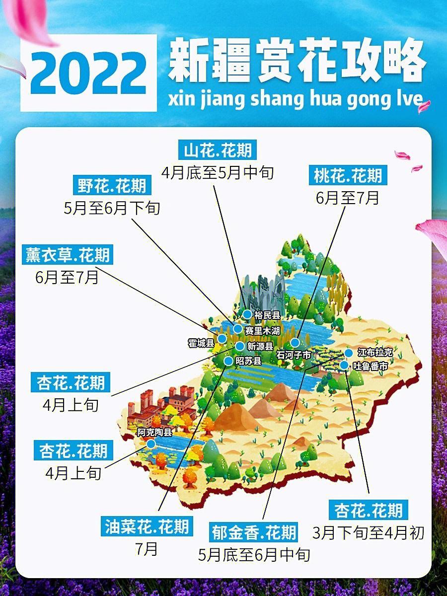 “伊犁园2022人口：诡异爆表的幽默新章”